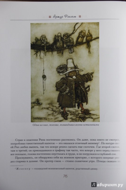 Иллюстрация 17 из 56 для Легенда о сонной лощине. Рип Ван Винкль. Буря.  Иллюстрации Артур Рэкхем - Ирвинг, Шекспир | Лабиринт - книги. Источник: Blackboard_Writer
