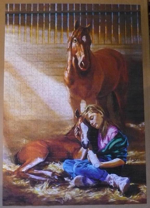 Иллюстрация 5 из 6 для Puzzle-1000. Девочка с лошадью (С-101801) | Лабиринт - игрушки. Источник: Лора76756465