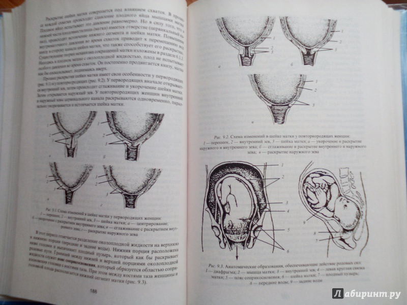 Иллюстрация 20 из 32 для Акушерство - Виталий Дуда | Лабиринт - книги. Источник: Кувшинова  Таня Константиновна