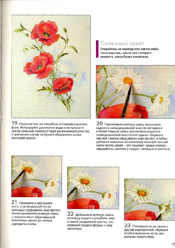 Иллюстрация 5 из 22 для Рисуем по схемам. Цветы. Акварель - Венди Тэйт | Лабиринт - книги. Источник: Иванна