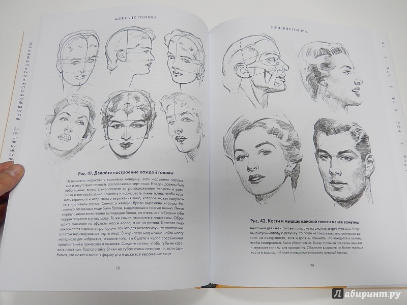 Иллюстрация 16 из 31 для Рисование головы и рук - Эндрю Лумис | Лабиринт - книги. Источник: dbyyb