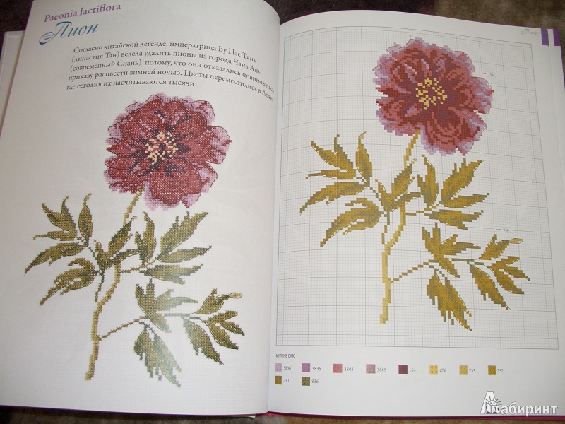 Иллюстрация 11 из 26 для Садовые цветы, вышитые крестом - Вероник Ажинер | Лабиринт - книги. Источник: variae lectiones