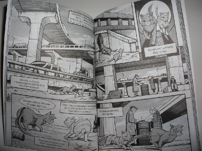 Иллюстрация 42 из 44 для Крутобок & Бич. Комплект комиксов из 4-х книг - Эрин Хантер | Лабиринт - книги. Источник: Tiger.