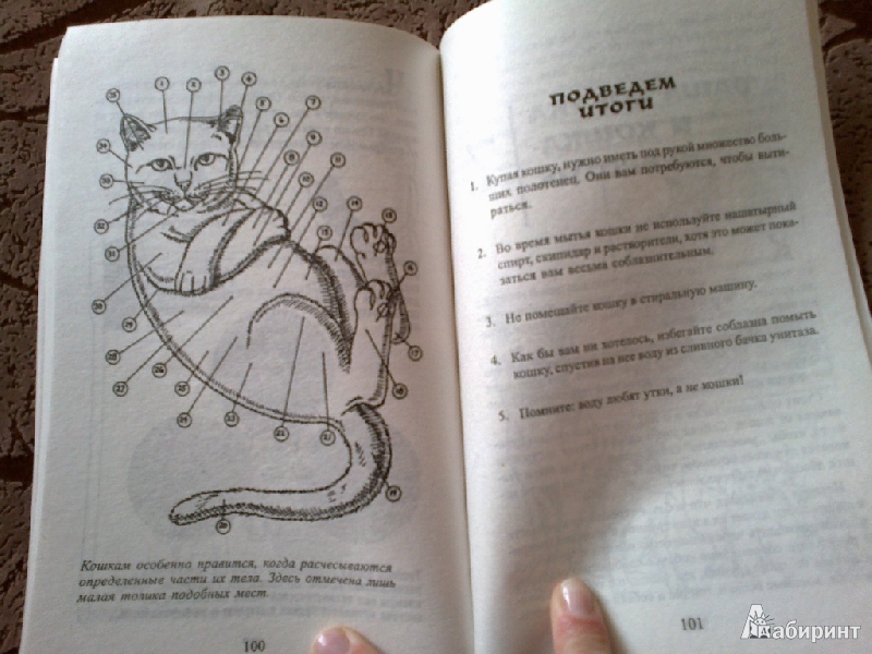 Иллюстрация 4 из 35 для Как жить с кошкой-невротиком - Стивен Бейкер | Лабиринт - книги. Источник: Mariyka