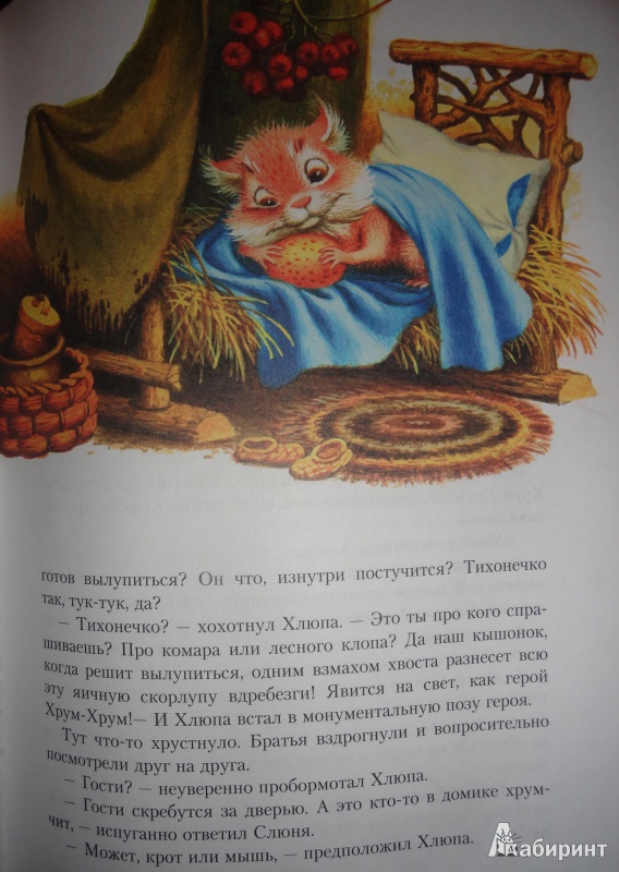 Иллюстрация 24 из 41 для Большой Кыш - Мила Блинова | Лабиринт - книги. Источник: Mylt
