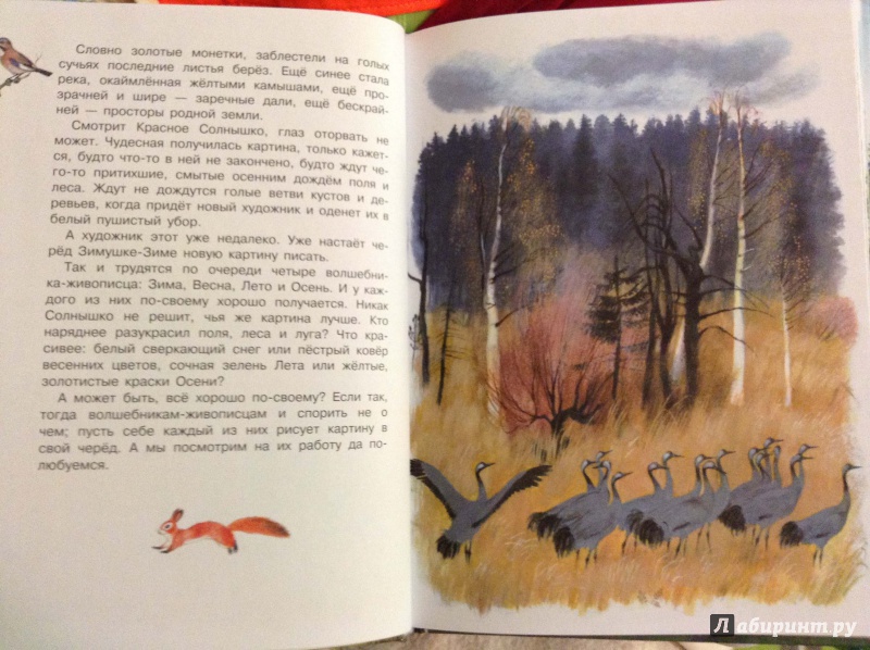 Иллюстрация 30 из 134 для Рассказы о природе для детей - Коваль, Скребицкий, Соколов-Микитов | Лабиринт - книги. Источник: Lapchi