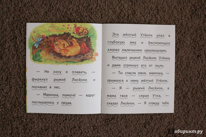 Иллюстрация 10 из 11 для Как рыжий лисенок мамой уткой был - Елена Ермолова | Лабиринт - книги. Источник: дважды