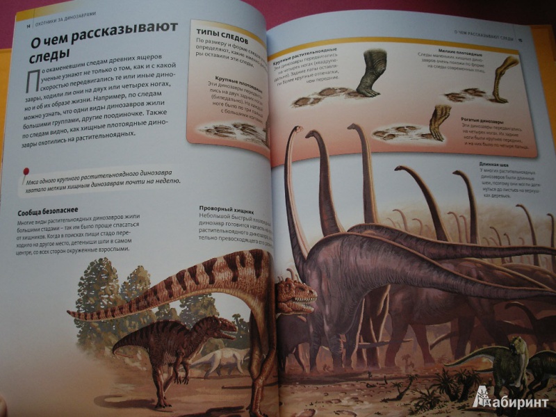 Иллюстрация 8 из 39 для Охотники за динозаврами | Лабиринт - книги. Источник: Tiger.