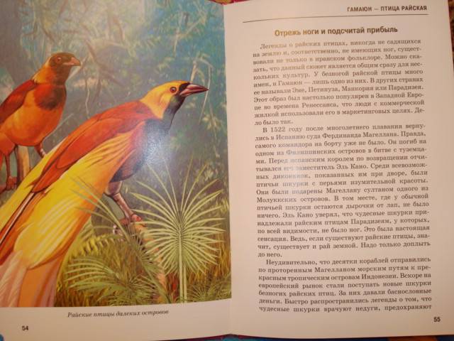 Иллюстрация 6 из 32 для Мифологические животные - Юлия Дунаева | Лабиринт - книги. Источник: Алёнушка-Аленка