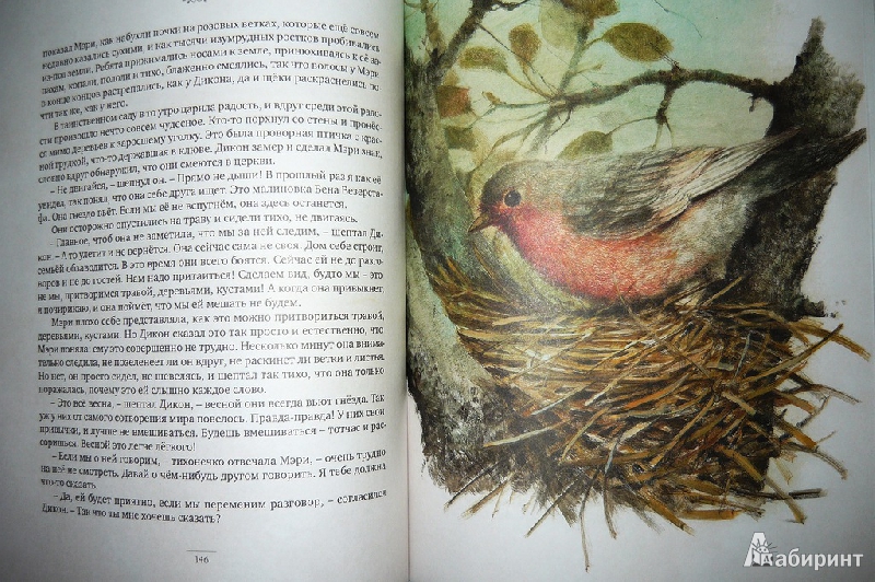 Иллюстрация 55 из 56 для Таинственный сад - Фрэнсис Бёрнетт | Лабиринт - книги. Источник: Ромашка:-)