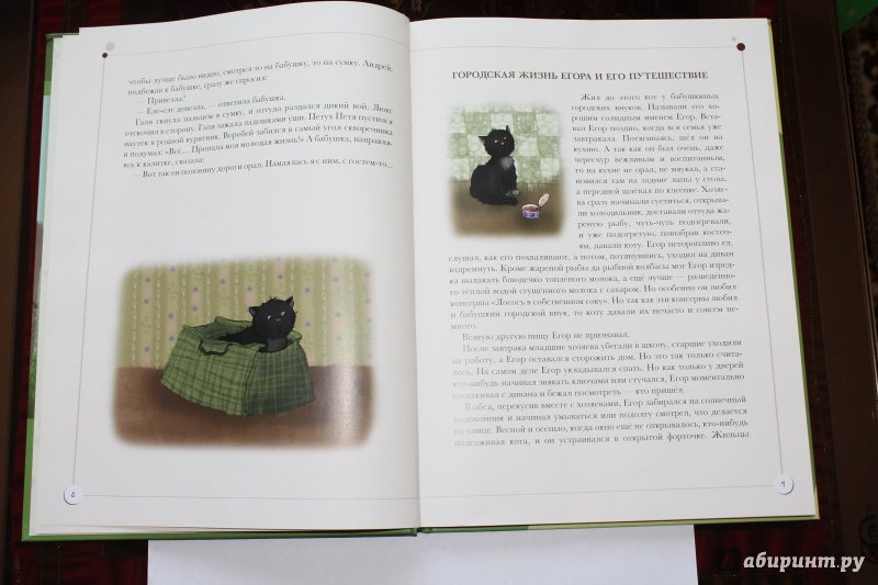 Иллюстрация 74 из 83 для Каникулы кота Егора - Николай Наволочкин | Лабиринт - книги. Источник: GO!