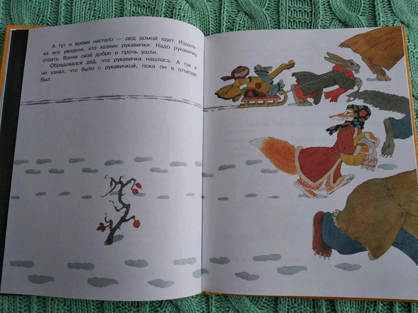 Иллюстрация 43 из 64 для Теремок и другие сказки | Лабиринт - книги. Источник: Лабиринт