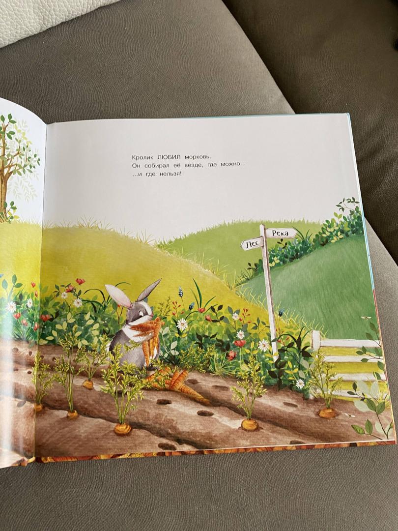 Иллюстрация 47 из 49 для Слишком много моркови - Кэти Хадсон | Лабиринт - книги. Источник: asyk007