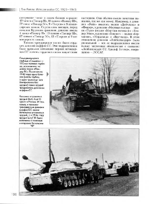 Иллюстрация 14 из 38 для История войск СС. 1925-1945 - Тим Рипли | Лабиринт - книги. Источник: Юта