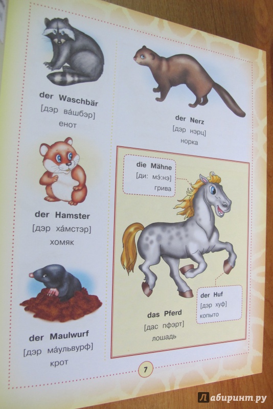 Иллюстрация 7 из 11 для Немецко-русский визуальный словарь для детей | Лабиринт - книги. Источник: Hitopadesa