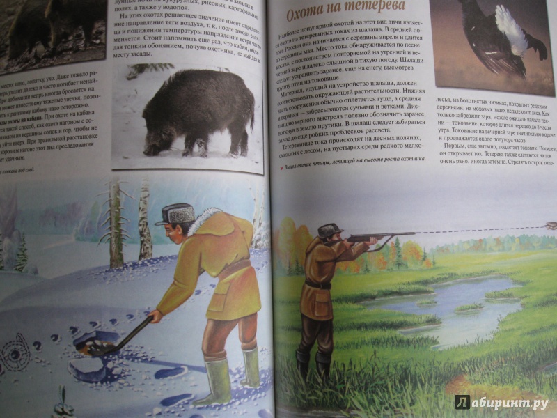 Иллюстрация 13 из 27 для Охота - Ликсо, Виноградов, Шунков | Лабиринт - книги. Источник: В.
