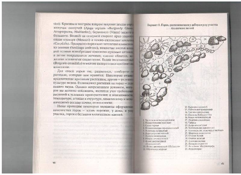 Иллюстрация 6 из 11 для Каменистые горки - Наталья Лунина | Лабиринт - книги. Источник: gabi