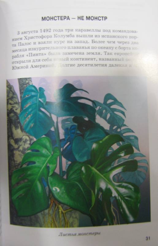 Иллюстрация 53 из 54 для Самые удивительные растения - Сергей Афонькин | Лабиринт - книги. Источник: Спанч Боб