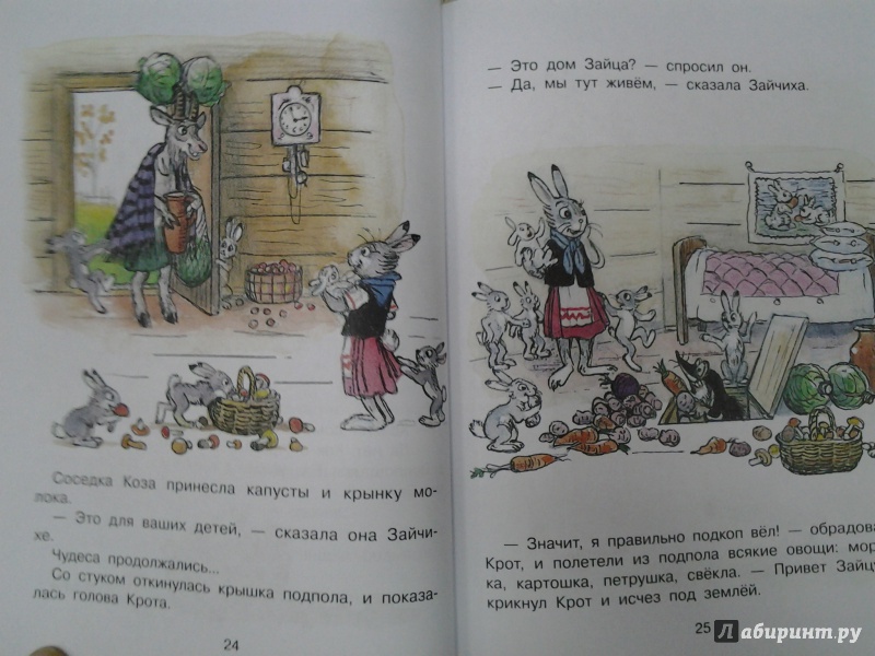 Иллюстрация 26 из 47 для Сказочный мир В. Сутеева - Владимир Сутеев | Лабиринт - книги. Источник: Olga