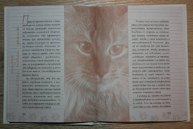 Иллюстрация 1 из 7 для Задушевные разговоры с кошками и котами. Диалоги о кошачьей мудрости - Кейт Солисти-Мэттлон | Лабиринт - книги. Источник: Крюкова  Светлана