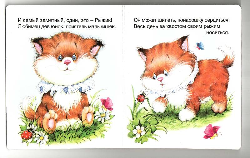 Иллюстрация 14 из 19 для Котенок Рыжик - Владимир Борисов | Лабиринт - книги. Источник: Апельсинка