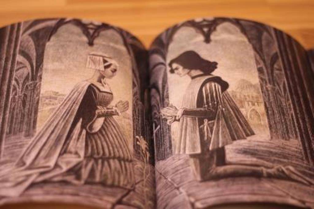 Иллюстрация 96 из 110 для Гамлет, принц датский. Сонеты. Ромео и Джульетта - Уильям Шекспир | Лабиринт - книги. Источник: Янчик