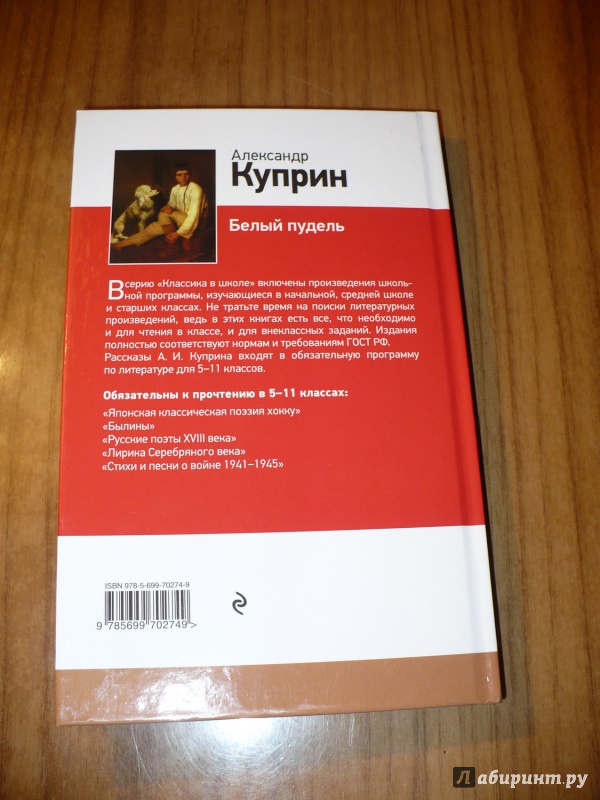 Иллюстрация 19 из 23 для Белый пудель - Александр Куприн | Лабиринт - книги. Источник: Голиков  Сергей Юрьевич