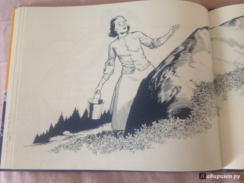 Иллюстрация 56 из 61 для Черника для Саши - Роберт Макклоски | Лабиринт - книги. Источник: К  Анна