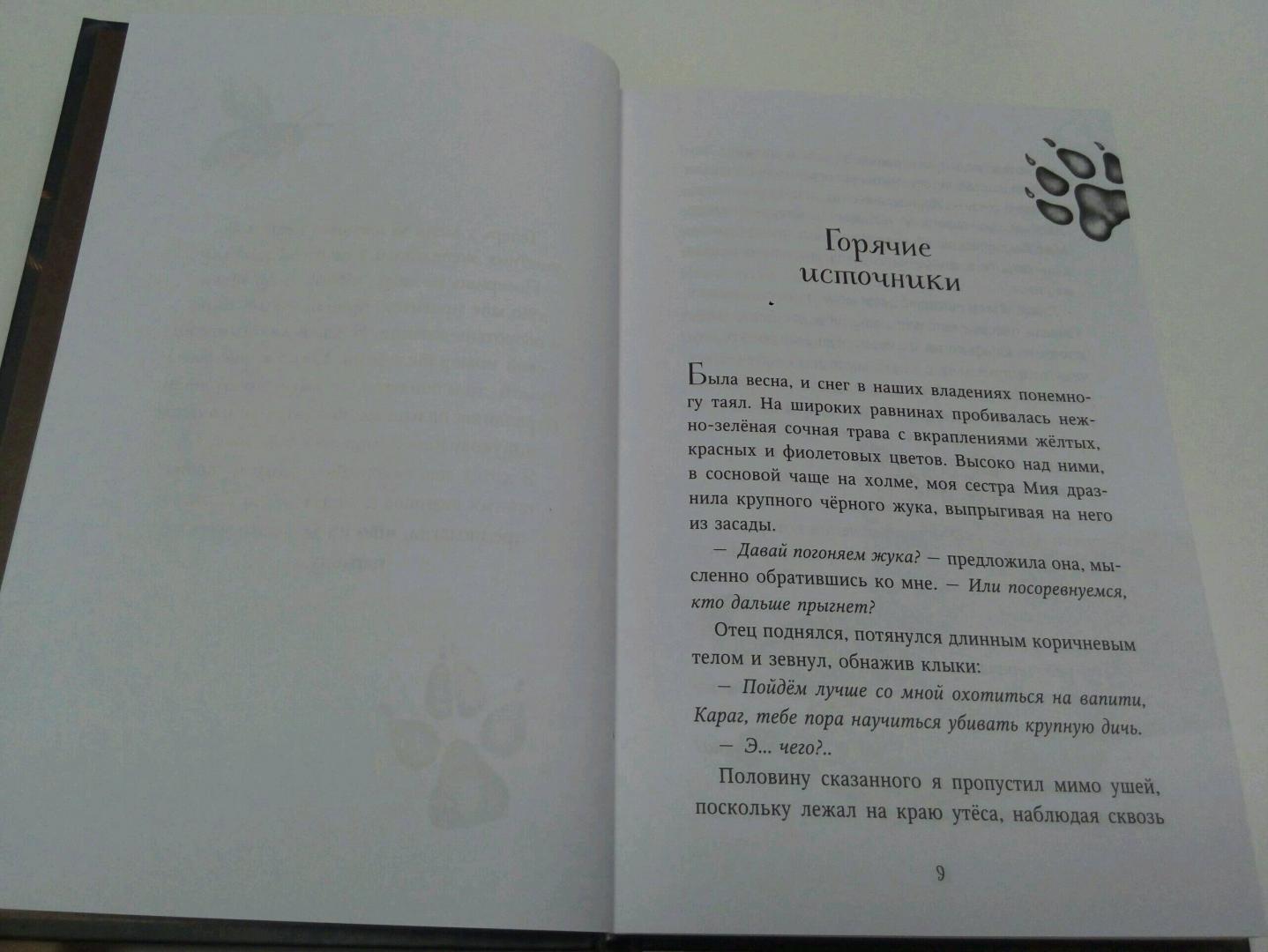 Иллюстрация 8 из 17 для Дети леса. Тайна Холли - Катя Брандис | Лабиринт - книги. Источник: Дива