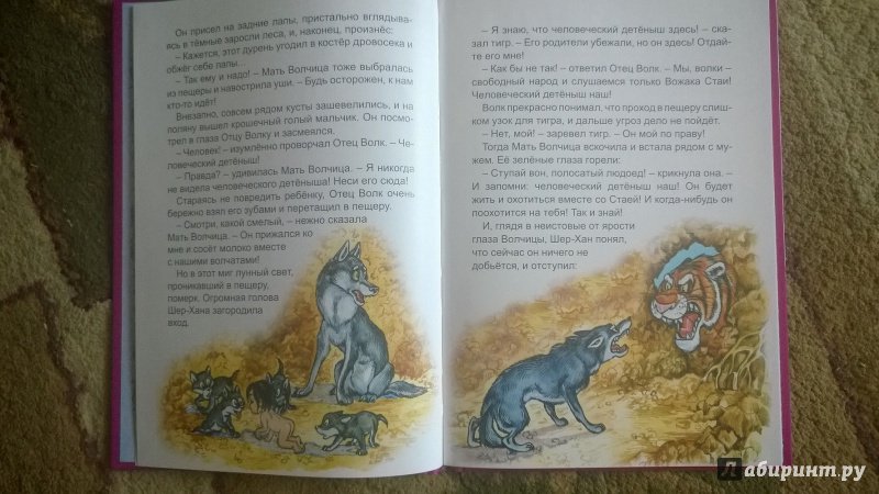 Иллюстрация 9 из 24 для Маугли - Редьярд Киплинг | Лабиринт - книги. Источник: Янкович  Янина