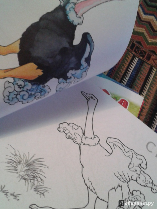 Иллюстрация 4 из 5 для Домашние птицы | Лабиринт - книги. Источник: Написатель