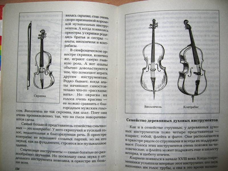 Иллюстрация 16 из 26 для Развиваем музыкальные способности - Елена Васько | Лабиринт - книги. Источник: -=  Елена =-