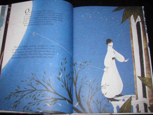 Иллюстрация 27 из 35 для Подари мне луну - Роксана Галье | Лабиринт - книги. Источник: Nemertona