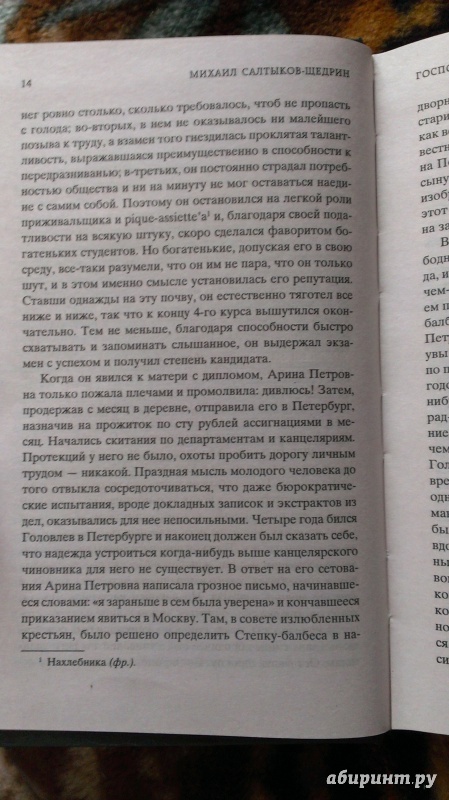 Иллюстрация 31 из 46 для Господа Головлевы - Михаил Салтыков-Щедрин | Лабиринт - книги. Источник: Подмосковная панда