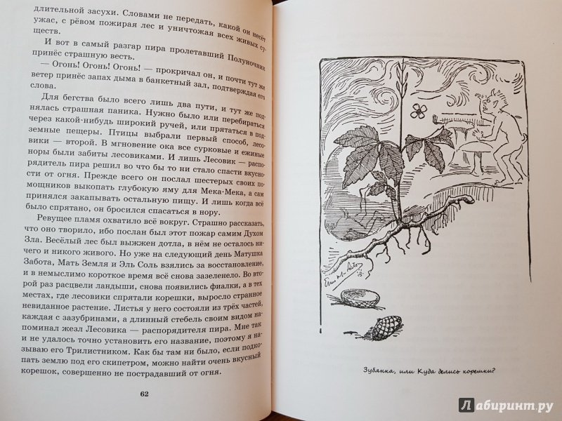 Иллюстрация 13 из 34 для Лесные рассказы - Эрнест Сетон-Томпсон | Лабиринт - книги. Источник: Алексей Гапеев