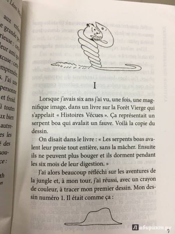 Иллюстрация 15 из 25 для Le Petit Prince. Vol De Nuit - Антуан Сент-Экзюпери | Лабиринт - книги. Источник: Lina