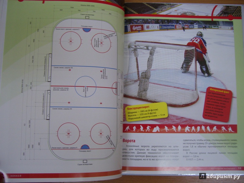 Иллюстрация 12 из 18 для Хоккей | Лабиринт - книги. Источник: КошкаПолосатая