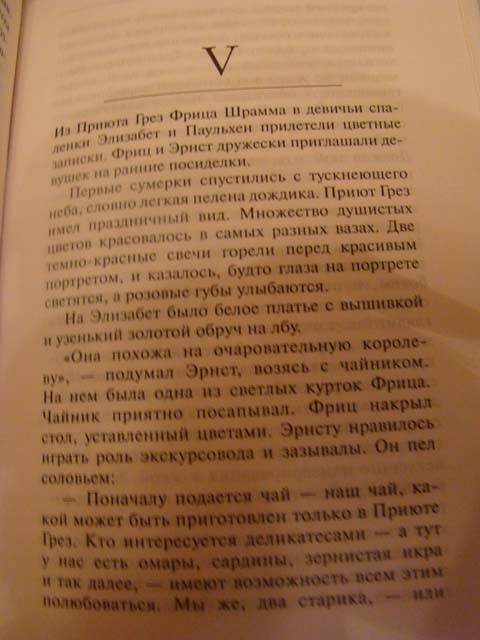 Иллюстрация 1 из 2 для Приют грез - Эрих Ремарк | Лабиринт - книги. Источник: Лиса