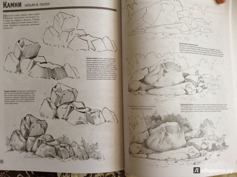 Иллюстрация 8 из 48 для Основы рисования | Лабиринт - книги. Источник: Marysia