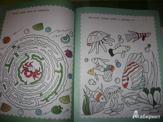 Иллюстрация 9 из 13 для Тайны подводного мира. Разгадай и раскрась - Виктор Зайцев | Лабиринт - книги. Источник: Lunna