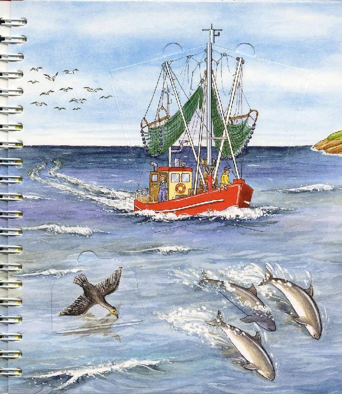Иллюстрация 27 из 58 для На море - Андреа Эрне | Лабиринт - книги. Источник: Igra