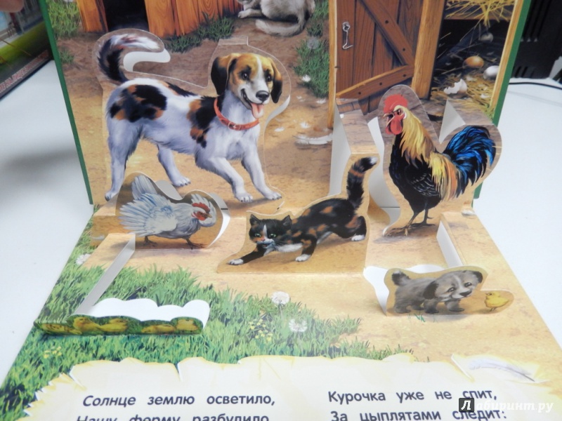 Иллюстрация 3 из 6 для Домашние животные - Софья Буланова | Лабиринт - книги. Источник: dbyyb