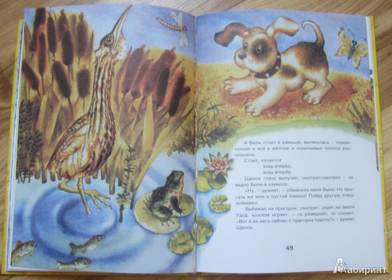 Иллюстрация 5 из 26 для Сказки и рассказы о животных - Виталий Бианки | Лабиринт - книги. Источник: ver-ira