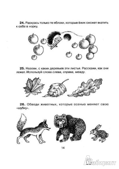 Иллюстрация 12 из 23 для 65 познавательных заданий для развития малыша - Нина Гурьева | Лабиринт - книги. Источник: Низамутдинова  Олия