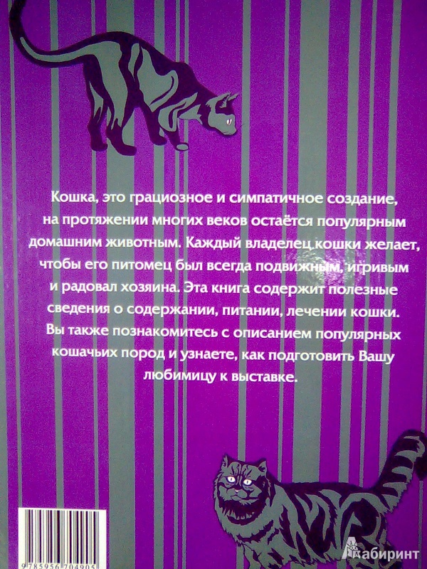 Иллюстрация 15 из 53 для Все о кошке. Породы, содержание, питание - Дарья Дазидова | Лабиринт - книги. Источник: Салус