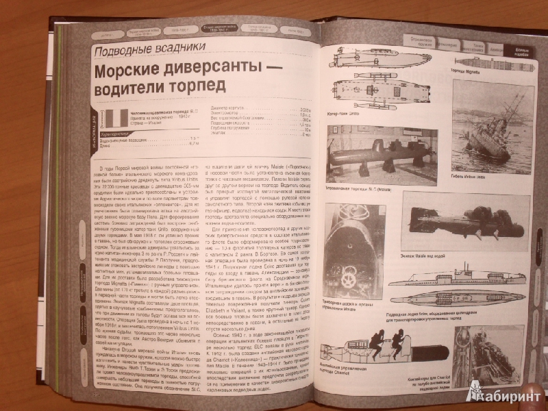 Иллюстрация 14 из 20 для Секретное и парадоксальное оружие мира - Голод, Каторин | Лабиринт - книги. Источник: Скат