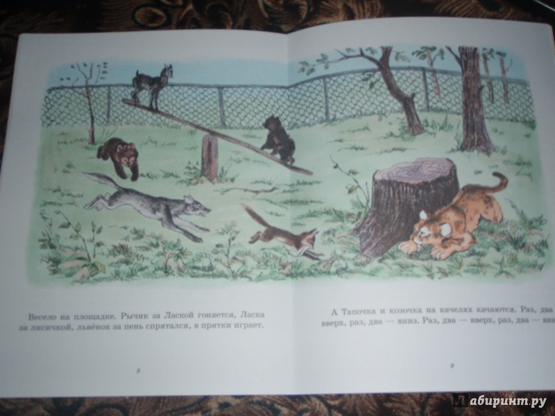 Иллюстрация 10 из 34 для Медвежонок Рычик и его товарищи - Вера Чаплина | Лабиринт - книги. Источник: солнечная поганка