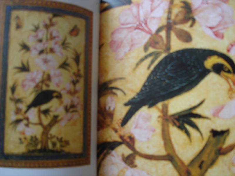 Иллюстрация 3 из 20 для Эрмитаж. Цветы и птицы | Лабиринт - книги. Источник: Nett
