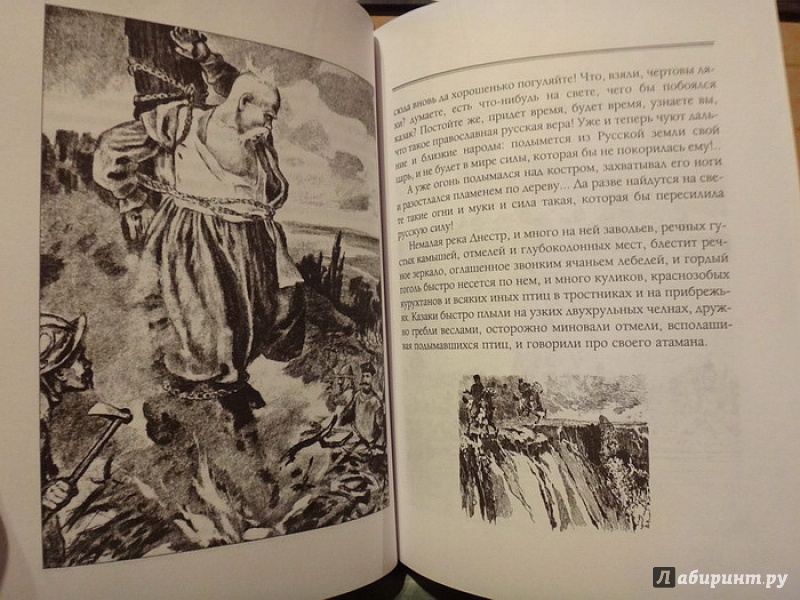 Иллюстрация 22 из 33 для Миргород - Николай Гоголь | Лабиринт - книги. Источник: nataly_an