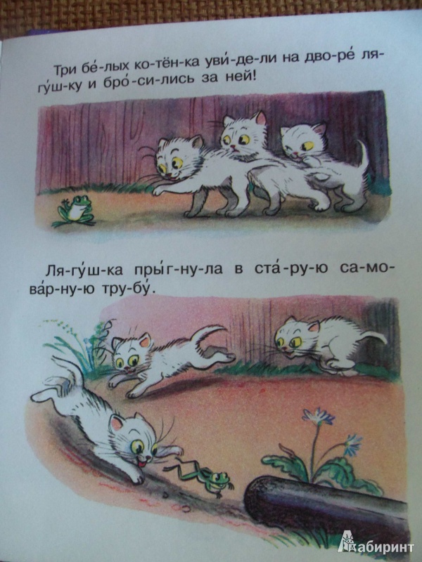 Иллюстрация 6 из 64 для Сказки и картинки - Владимир Сутеев | Лабиринт - книги. Источник: Анастасия Сергеевна